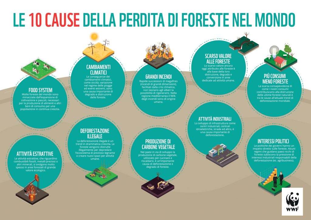 Infografica sulla perdita di foreste nel mondo a cura del WWF